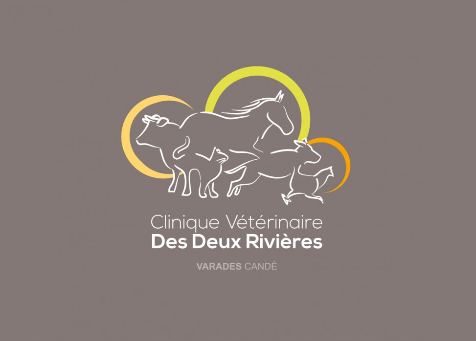 logotype clinique vétérinaire charte graphique magaliac